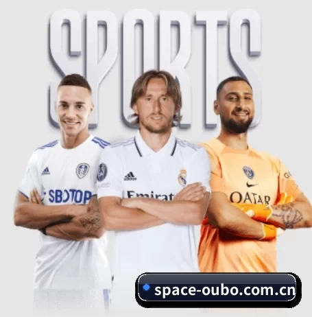 space-oubo.com.cn的方向 - 长期内容价值积累